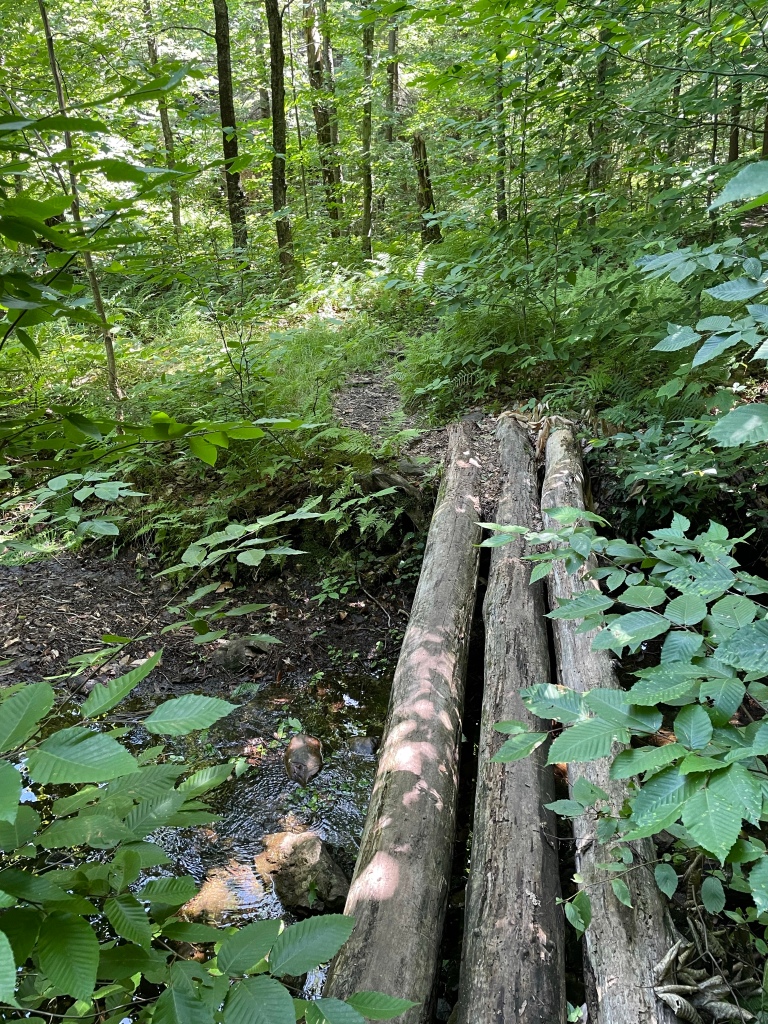 Three large logs form a bridge to cross a stream.