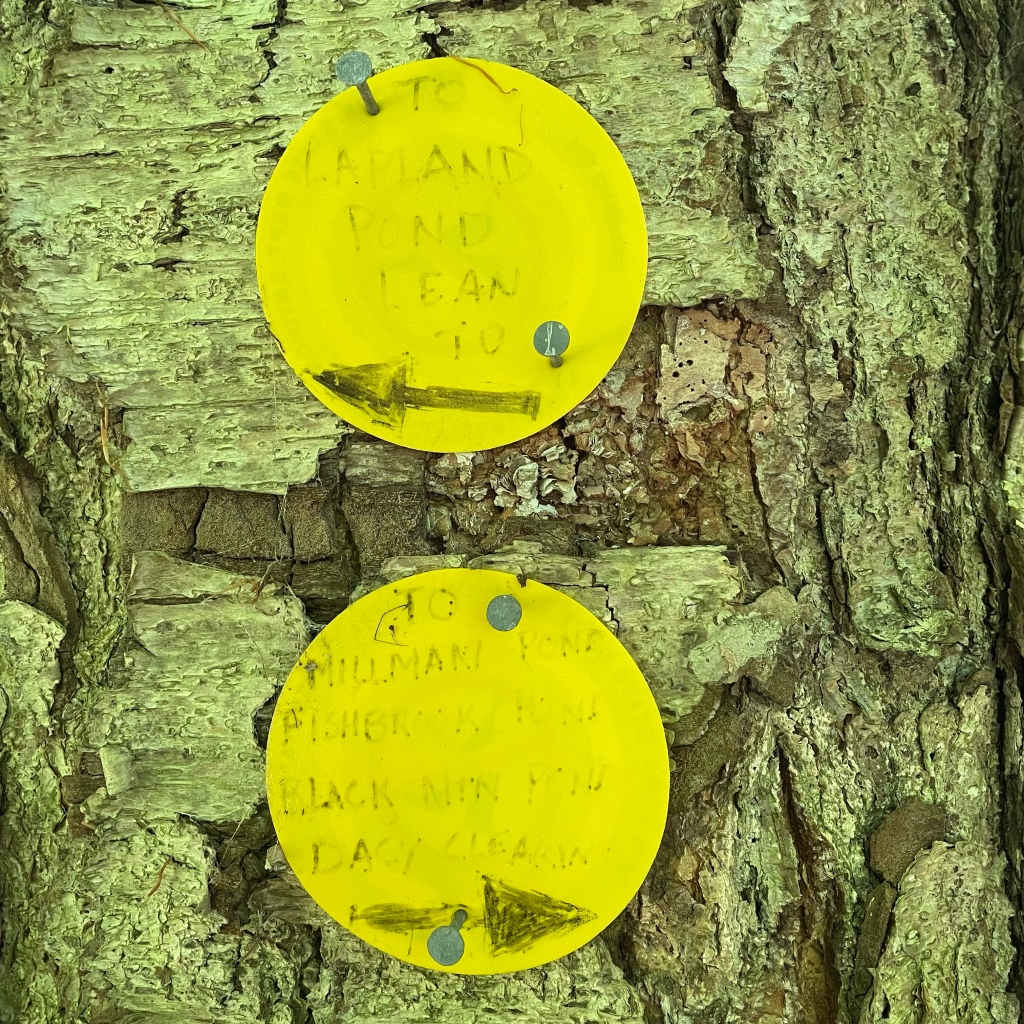 Hand written signs showing the lean-to to the left and ponds further along the trail to the right.