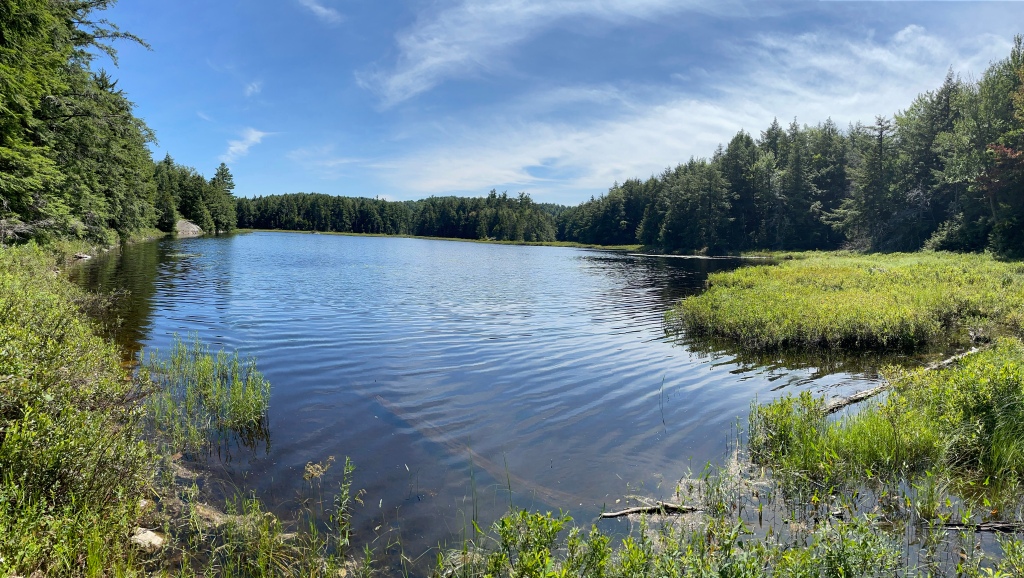 A beautiful view of Lapland Pond, with blue skies and a green tree line in the background.